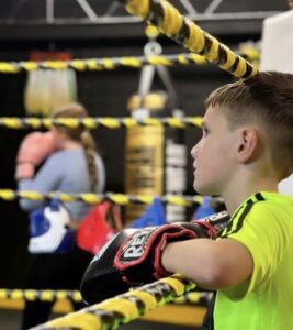 T50 boxing